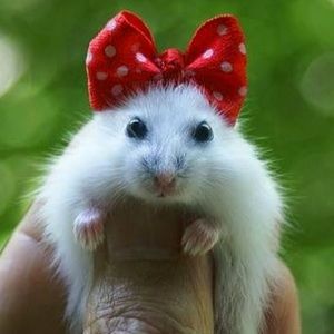 Meet your Posher, Marina